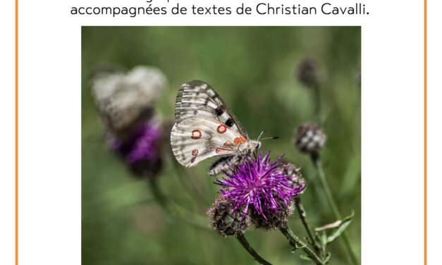 “Autre-voir” : exposition et atelier d’écriture à la Librairie Les Espelines de Vassieux en Vercors