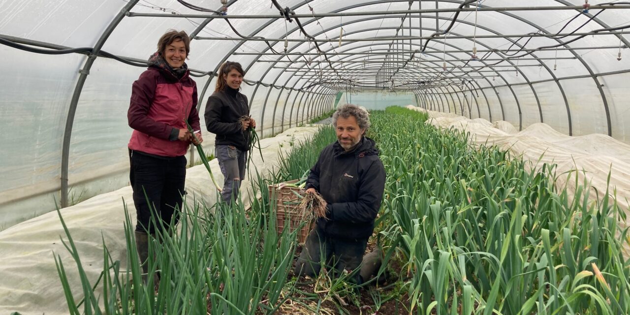 Journée “Ferme ouverte” au Temps des Légumes