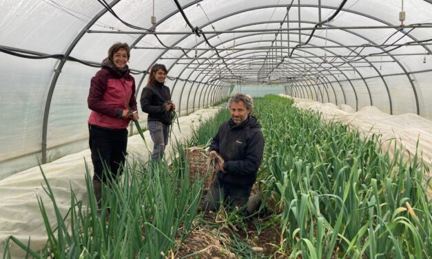 Journée “Ferme ouverte” au Temps des Légumes