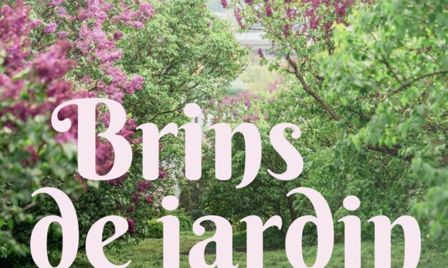 Brins de Jardin #25 et #26 : travaux de novembre et plantation d’un arbre